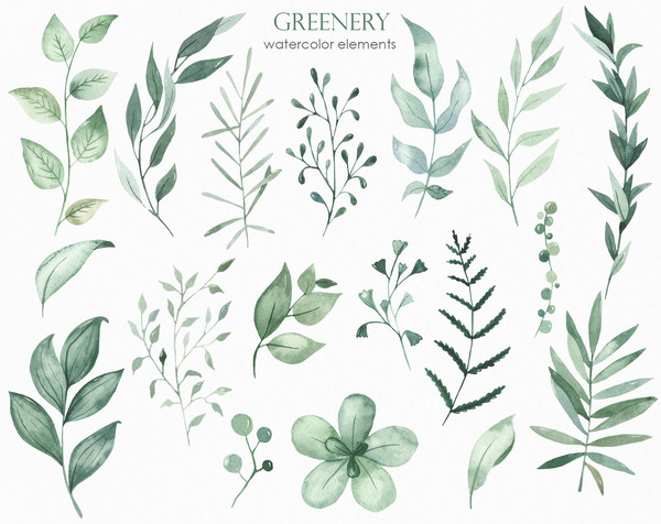 2 Greenery watercolor elelments.jpg