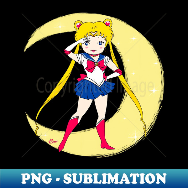 VM-20231018-5039_Sailor Moon Serena Tsukino 1 6521.jpg