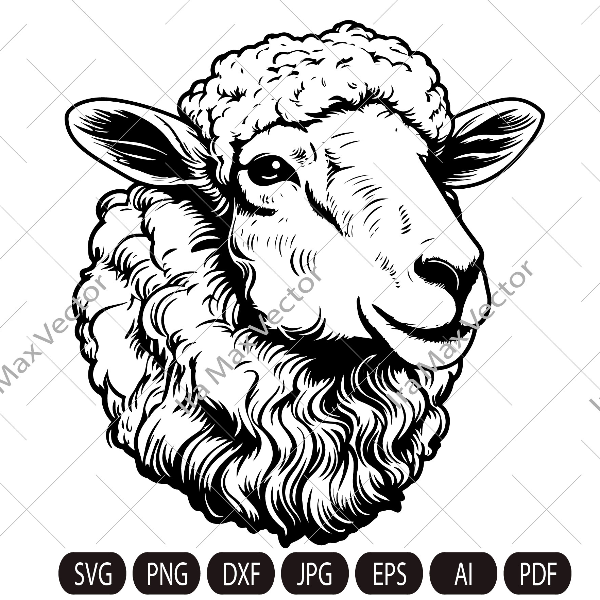 sheep head imv.jpg