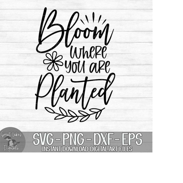 MR-24102023194022-bloom-where-you-are-planted-instant-digital-download-svg-image-1.jpg