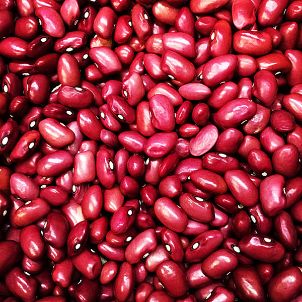 hidatsa-red-beans-phaseolus-vulgaris-variety-9__58258.jpg