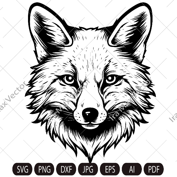 fox imv.jpg