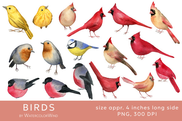 birds-elements.jpg