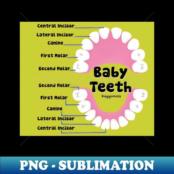 PQ-20231107-886_Baby Teeth names illustration - for Dentists Hygienists Dental Assistants Dental Students and anyone who loves teeth by Happimola 6163.jpg