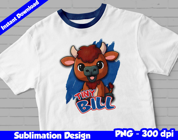 buffalo bills 03.jpg