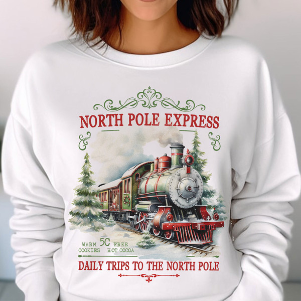 North Pole Express Tee, North Pole Train Shirt, Vintage Christmas Train Shirt, Christmas Movie Unisex T Shirt Sweatshirt Hoodie 2.jpg