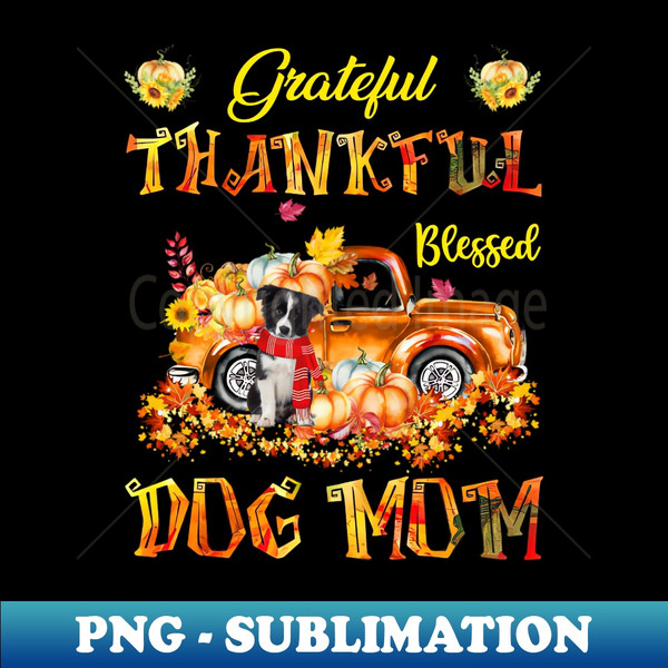 DT-20231114-3196_Border Collie Truck Pumpkin Thankful Grateful Blessed Dog Mom 1649.jpg