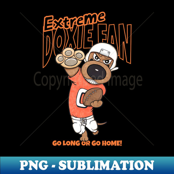 PQ-20231114-8407_Funny Cute Doxie Dachshund Dog Football 8373.jpg