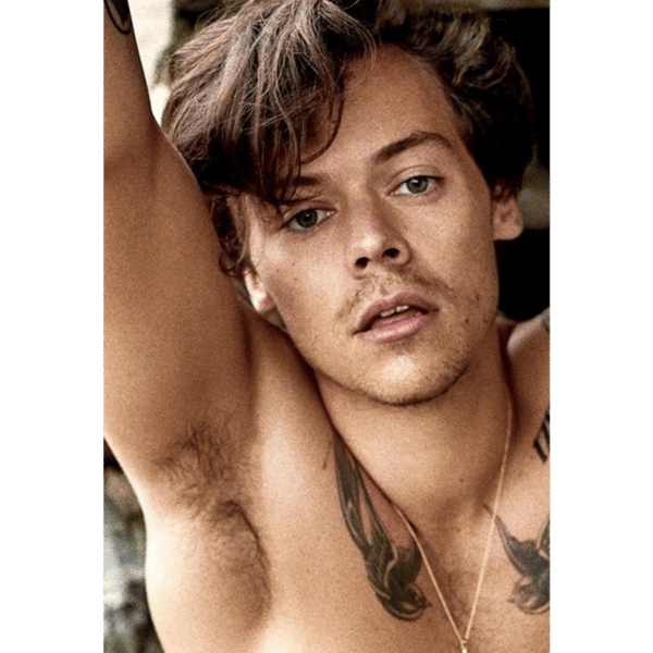 2019 harry  .png