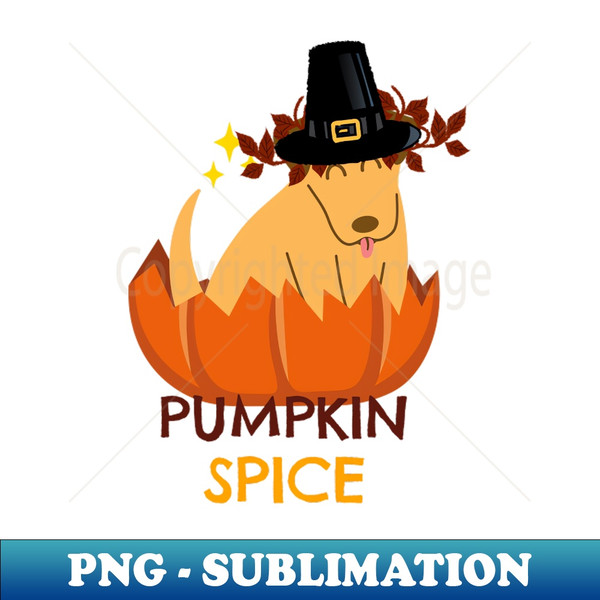 QG-20231120-54826_Pumpkin Spice Dog In Pilgrim Hat 9683.jpg