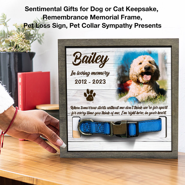 Memorial Pet Collar Sign, Cat Collar Memorial, Dog Loss Gift, Pet Collar Holder, Memorial Standing Frame, Sympathy, Bereavement Gifts 1.jpg