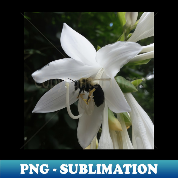 NU-3802_Bee in a Flower Photographic Design - Garden lover gift 6372.jpg