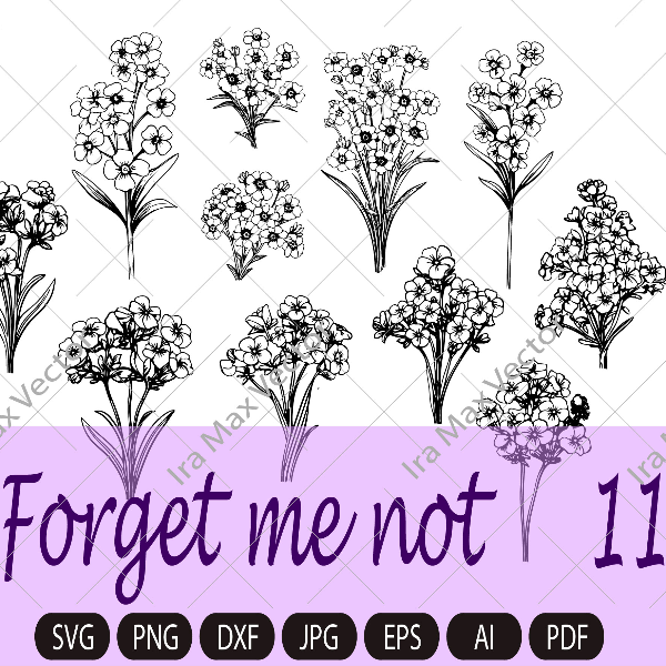 forget me not imv.jpg
