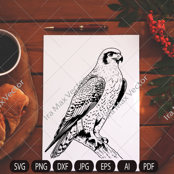 falcon poster.jpg