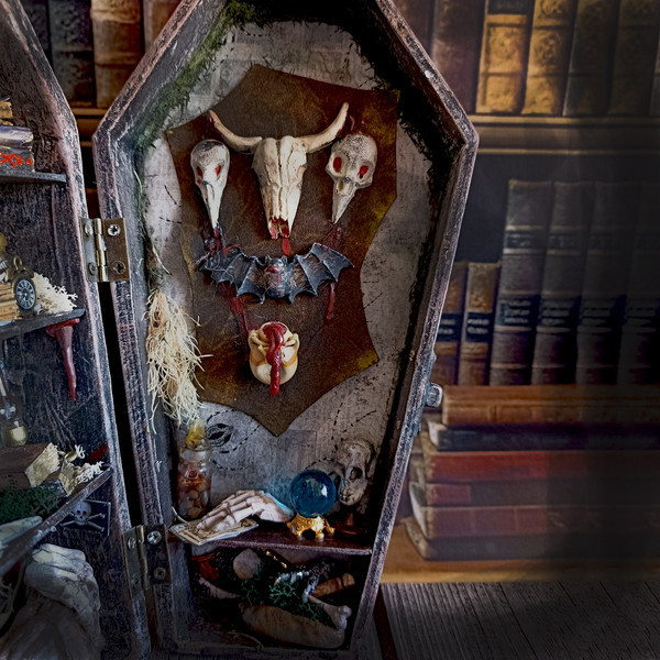 Miniature coffin, Potion Closet, BookShelf Box, Diorama,Creepy decor, Horror, Dark Art, Halloween, Gothic Roombox (2).jpg