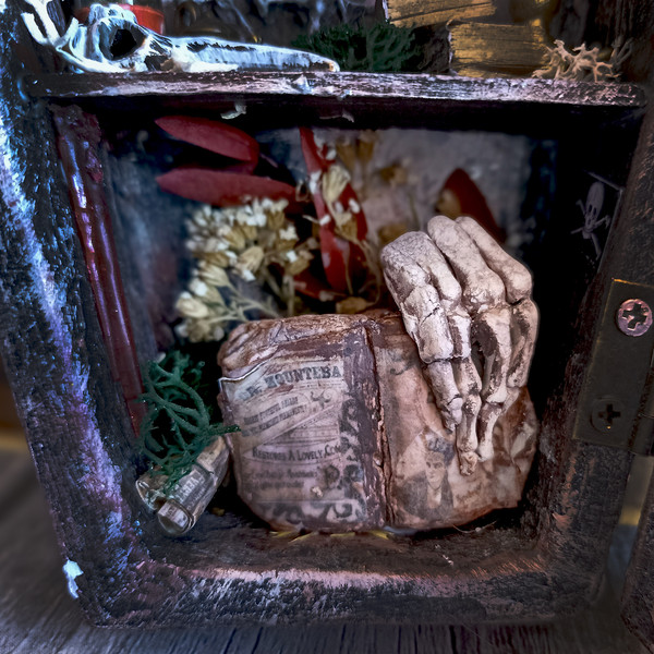 Miniature coffin, Potion Closet, BookShelf Box, Diorama,Creepy decor, Horror, Dark Art, Halloween, Gothic Roombox (6).jpg