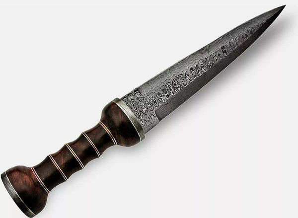 Hand-Forged_Damascus_Steel_Gladiator_Sword_Authentic_Combat_Blade (4).jpg