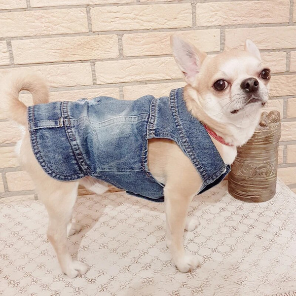 u0FpXS-2XL-Denim-Dog-Clothes-Cowboy-Pet-Dog-Coat-Puppy-Clothing-For-Small-Dogs-Jeans-Jacket.jpg
