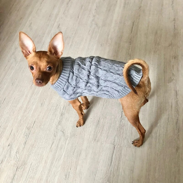 J6zEKnitted-Clothes-For-Dogs-Chihuahua-Sweater-For-Small-Dogs-Winter-Clothes-For-Sphinx-Cat-Dog-Sweater.jpg