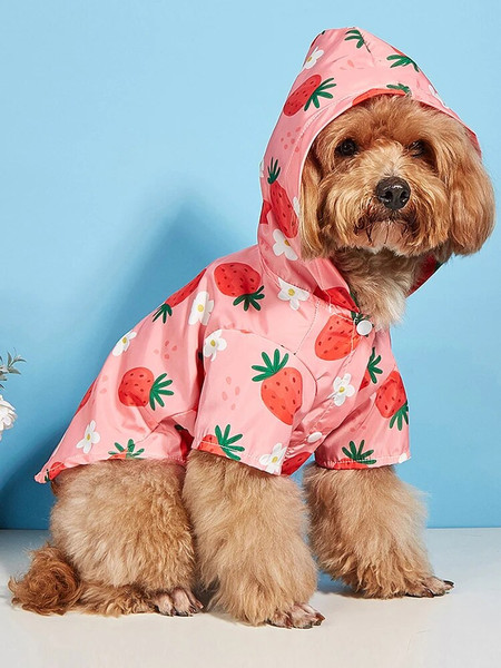 xfNSCartoon-Pet-Dog-Raincoat-Waterproof-Hooded-Jumpsuit-For-Small-Dogs-Summer-Outdoor-Puppy-Dog-Rain-Coat.jpg