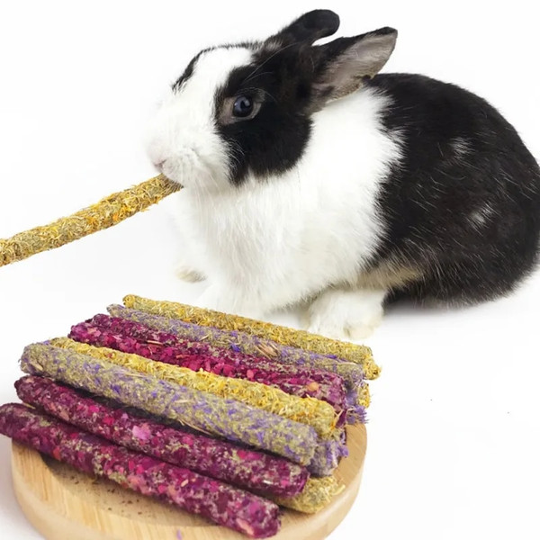 iRt16pcs-Rabbit-Chew-Sticks-Mixed-Natural-Flower-Chew-Toys-Treats-for-Rabbit-Bunny-Chinchilla-Guinea-Pig.jpg