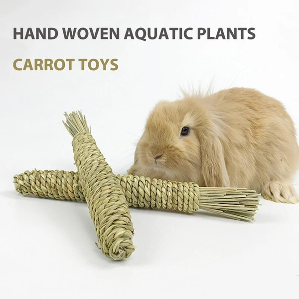 NtzKRabbit-Chew-Toys-Grass-Woven-Natural-Rabbit-Chew-Carrot-Rabbit-Chew-Sticks-Small-Animals-Grinding-Teeth.jpg