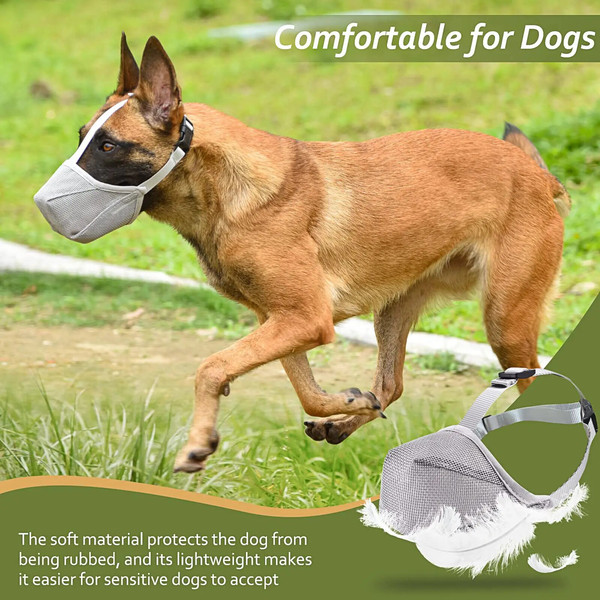 rT5XPet-Dog-Muzzles-Adjustable-Breathable-Dog-Mouth-Cover-Anti-Bark-Bite-Mesh-Dogs-Mouth-Muzzle-Mask.jpg
