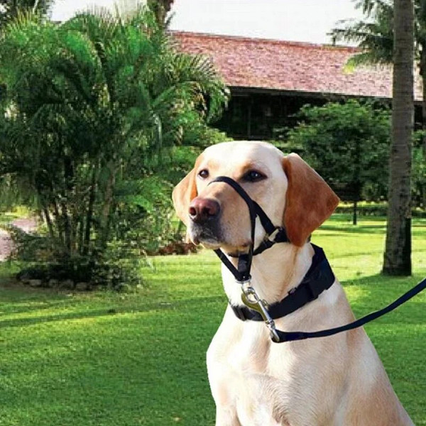 Ra97Nylon-Dog-Muzzle-Adjustable-Anti-barking-Anti-bite-Harness-Head-Collar-Muzzle-Dog-Halter-Training-Leash.jpg