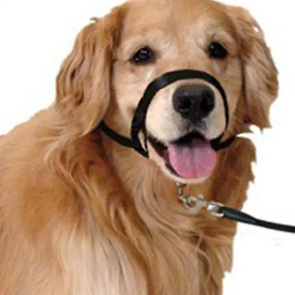 tuY4Nylon-Dog-Muzzle-Adjustable-Anti-barking-Anti-bite-Harness-Head-Collar-Muzzle-Dog-Halter-Training-Leash.jpg