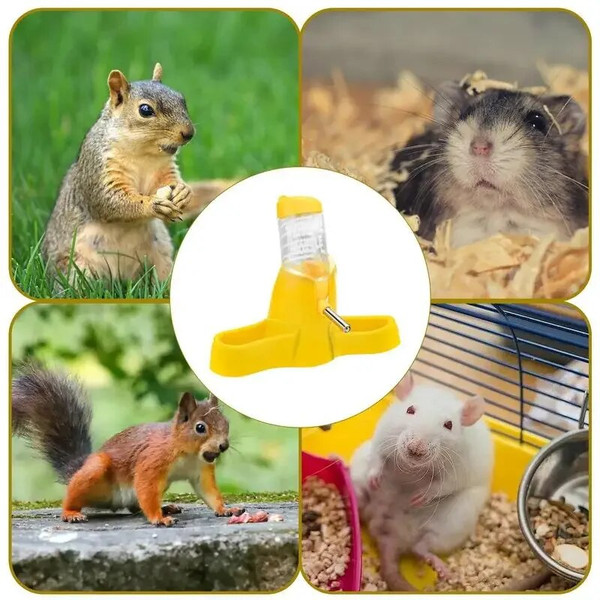 AQcOHamster-Water-Bottle-Small-Animal-Accessories-Automatic-Feeding-Device-Food-Container-Pet-Drinking-Bottles-Hamster-Accessories.jpg