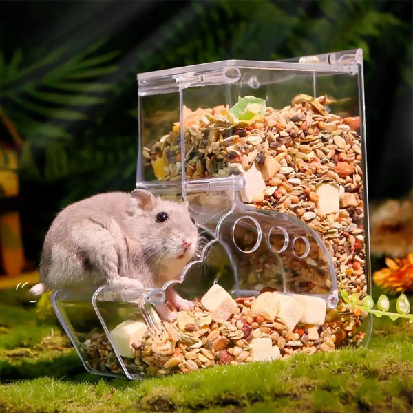 zlWqPet-Clear-Automatic-Feeder-Food-Dispenser-Food-Bowl-Container-For-Hamster-Chinchilla-Rabbit-Golden-Bear.jpg