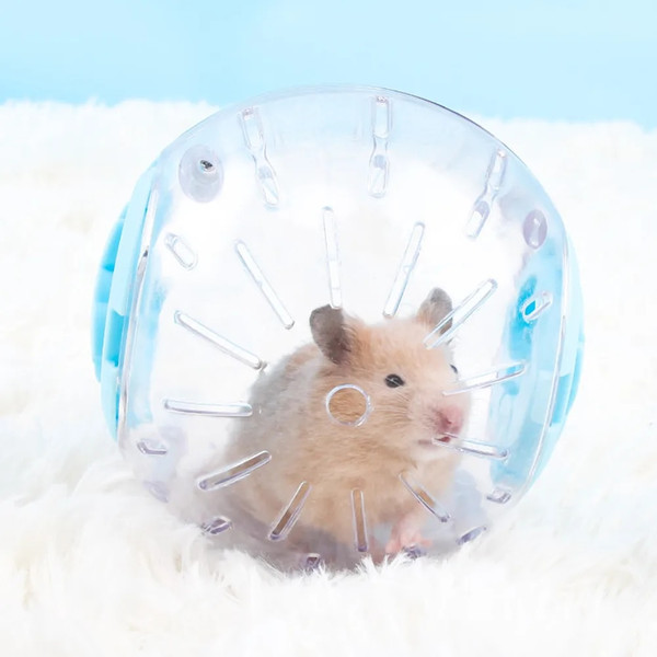 ux26Plastic-Outdoor-Sport-Ball-Grounder-Rat-Small-Pet-Mice-Jogging-Ball-Toy-Hamster-Gerbil-Exercise-Ball.jpg