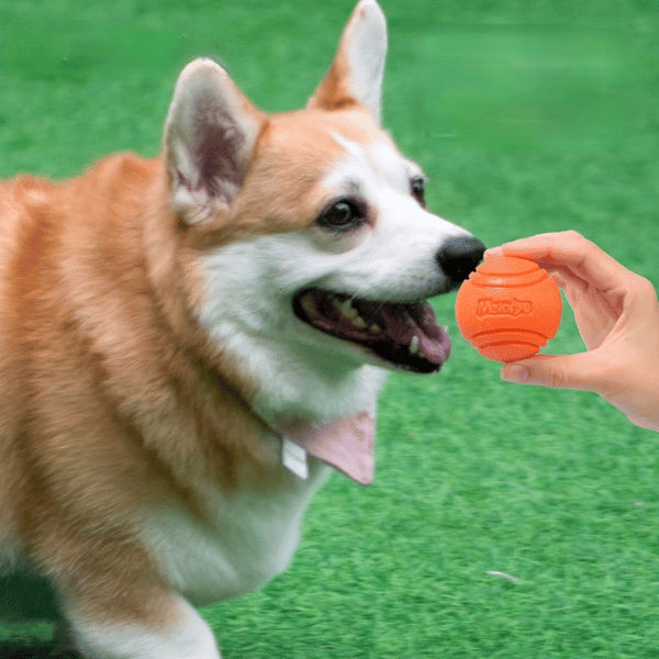 ZUIcDog-Ball-Indestructible-Chew-Bouncy-Rubber-Ball-Toys-Pet-Dog-Toy-Ball-with-String-Interactive-Toys.jpg