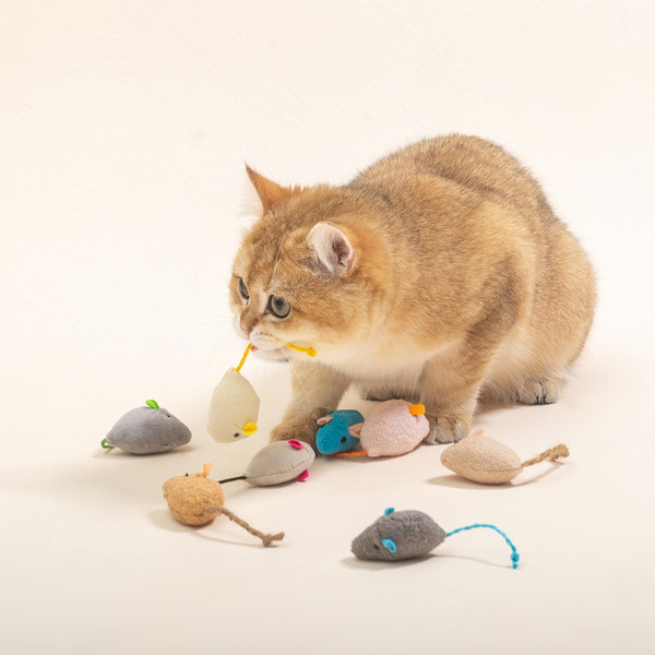 dJG4Funny-Plush-Cat-Toy-Soft-Solid-Interactive-Mice-Mouse-Toys-For-Funny-Kitten-Pet-Cats-Playing.jpg