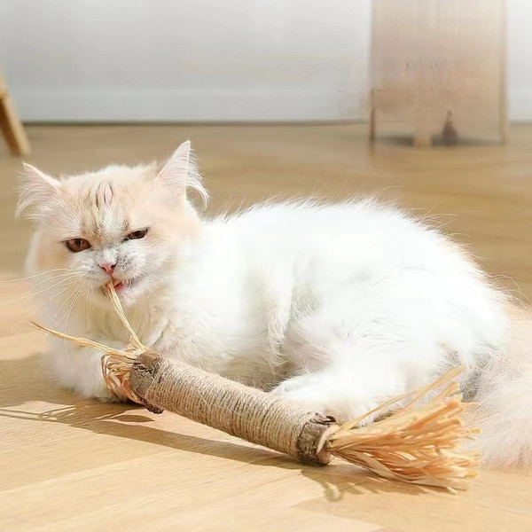 06WqCatnip-Cat-Toys-Natural-Matatabi-Pet-Cat-Snacks-Stick-Cleans-Tooth-Removers-Hair-to-Promote-Digestion.jpg