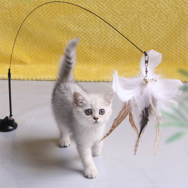 FVrZCat-Toy-Funny-Cat-Toys-Interactive-Self-Hi-Feather-Toys-for-Cats-Tease-Bite-Resistant-Cats.jpg