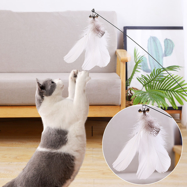 HAo5Cat-Toy-Funny-Cat-Toys-Interactive-Self-Hi-Feather-Toys-for-Cats-Tease-Bite-Resistant-Cats.jpg