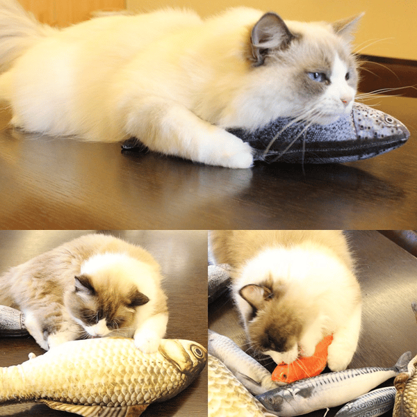 ucD520CM-Pet-Cat-Toy-Fish-Built-In-Cotton-Battery-Free-Ordinary-Simulation-Fish-Cat-Interactive-Entertainment.jpg