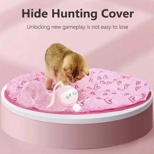 RZYmCat-Toys-For-Indoor-Cats-Electric-Motion-Catch-Pink-Green-Undercover-Mouse-Interactive-Cat-Toy-Self.jpg