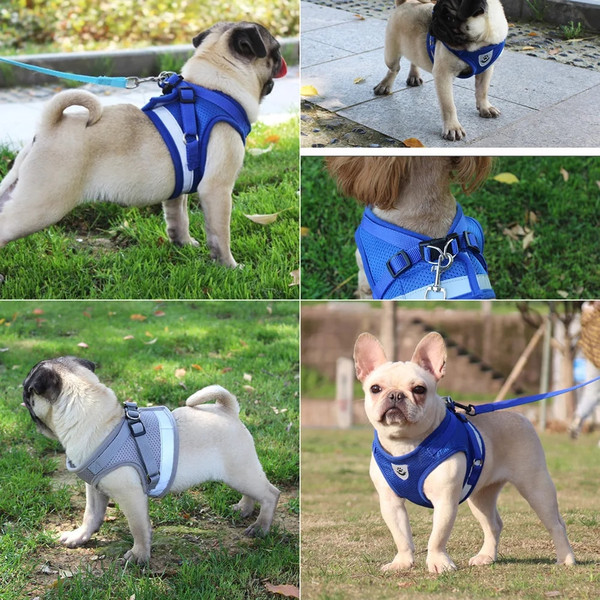 hAziQuality-Dog-Harness-And-Leash-Set-Dog-Accessories-For-Small-Dog-Chest-Harness-Dog-Leash-French.jpg