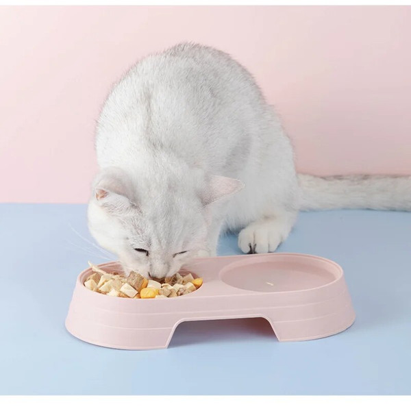 j9tvMacaron-Pet-Double-Bowl-Plastic-Kitten-Dog-Food-Drinking-Tray-Feeder-Cat-Feeding-Pet-Supplies-Accessories.jpg