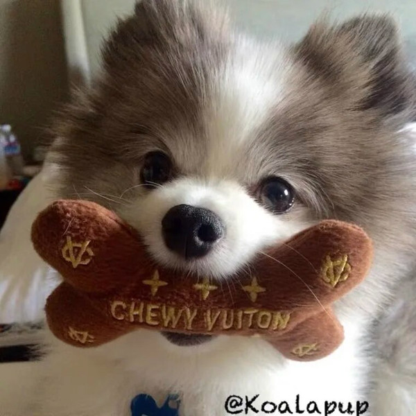 DhbcDogs-Chew-Toy-Luxury-Dog-Puppy-Toys-Pet-Supplies-Squeak-Cleaning-for-Small-Medium-Dog-Accessories.jpg