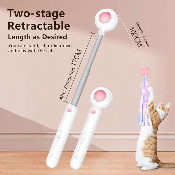 anjeCat-Toys-Cat-Teaser-Stick-Freely-Retractable-and-Replaceable-Feather-Toy-Head-Small-and-Flexible-Cats.jpg