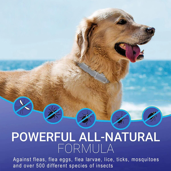 3RoiSEISSO-Dogs-Mosquitoe-Repellent-Collar-Pet-Antiparasitic-Anti-Flea-Tick-Collar-For-Small-Large-Dog-Cat.jpg