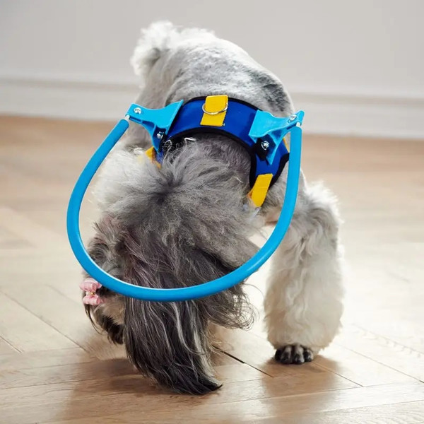 NNuQBlind-Pet-Anti-collision-Collar-Dog-Guide-Training-Behavior-Aids-Fit-Small-Big-Dogs-Prevent-Collision.jpg