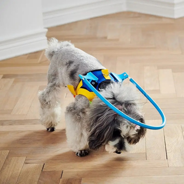 tM1fBlind-Pet-Anti-collision-Collar-Dog-Guide-Training-Behavior-Aids-Fit-Small-Big-Dogs-Prevent-Collision.jpg