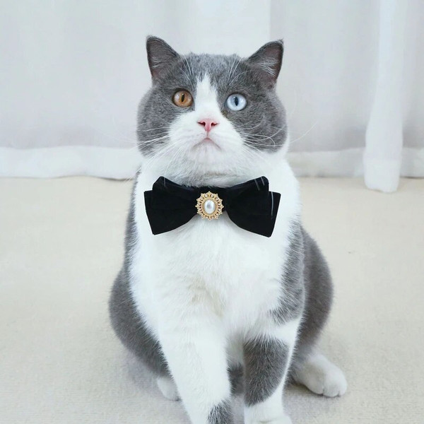 QTrjRetro-Cats-Collars-Velvet-Kitten-Bowknot-Bow-Tie-with-Pearl-Adjustable-Anti-suffocation-Puppy-Necklace-Pets.jpg