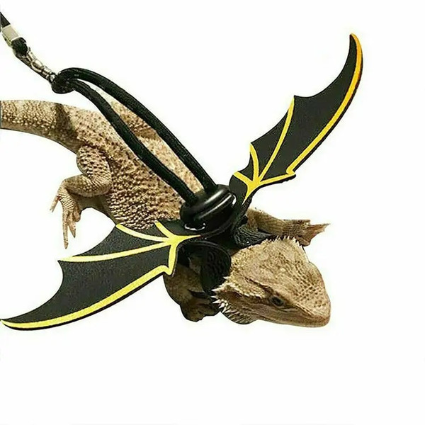 yh1aAdjustable-Reptile-Lizard-Gecko-Bearded-Dragon-Harness-and-Leash-for-Outdoor-Pet-Chameleon-Supplies.jpg