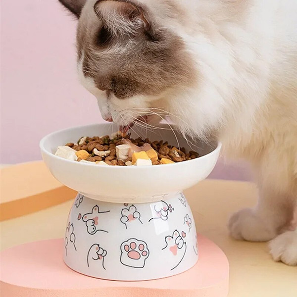 A6c9Cat-Bowl-Ceramic-Cat-Food-Protects-Cervical-Vertebra-Oblique-Opening-Pet-High-Foot-Bowl-Cat-Food.jpg