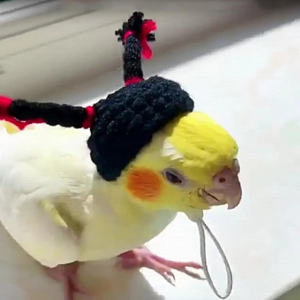 PygCCute-Pet-Knitted-Hat-Hamster-Guinea-Pig-Hats-Costume-Mini-Small-Pet-Items-Parrot-Funny-Headwear.jpg